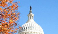 whitehouseautumn_2yr_web