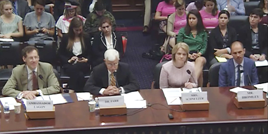 Mark Bromley Testifies at Foreign Affairs Committee Hearing on Global Human Rights