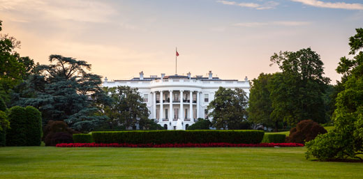 Whitehouse-tpp-image-web-520px